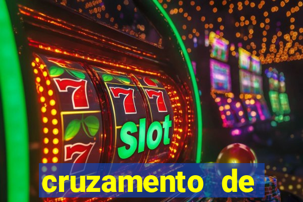 cruzamento de cavalo com jumenta globo rural